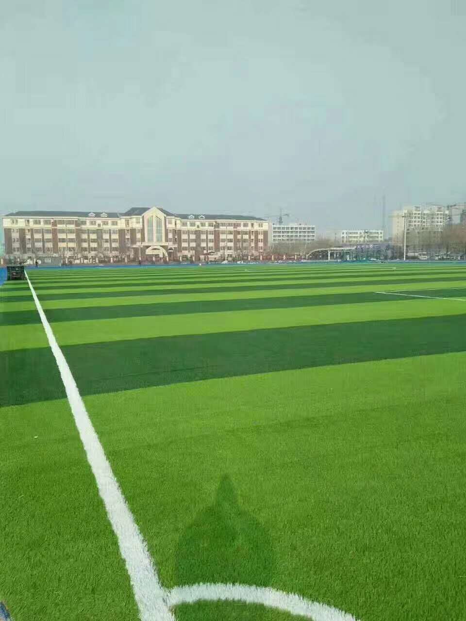 莆田市学校运动操场仿真草坪 - 价格